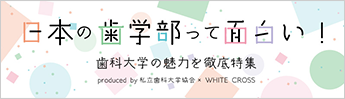 日本の歯学部って面白い！歯科大学の魅力を徹底特集