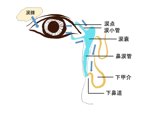 耳鼻いんこう科を詳しく知る 松本歯科大学 耳鼻いんこう科を詳しく知る 松本歯科大学