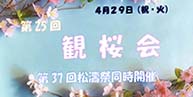 4月29日（火・祝）第25回観桜会を開催します！